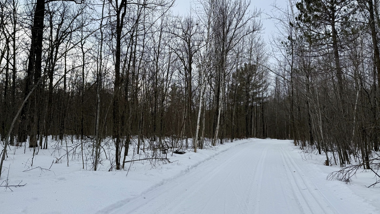 20260217_152826__img_4489