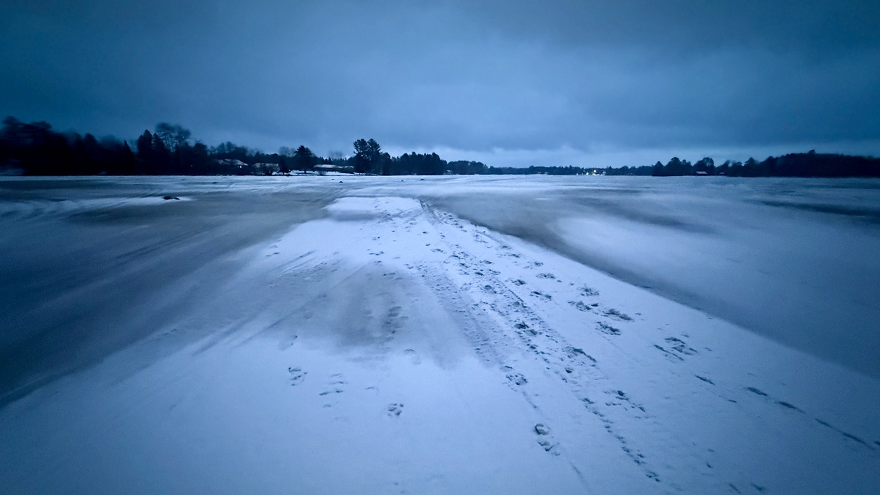 20260218_175615__img_4529